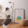 Interactive Feather Bird Cat Toy with Bell and Suction Cup