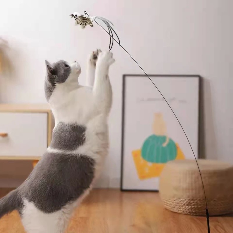 Interactive Feather Bird Cat Toy with Bell and Suction Cup