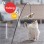 Interactive Feather Bird Cat Toy with Bell and Suction Cup