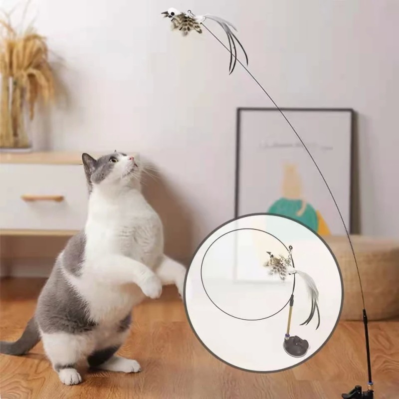 Interactive Feather Bird Cat Toy with Bell and Suction Cup
