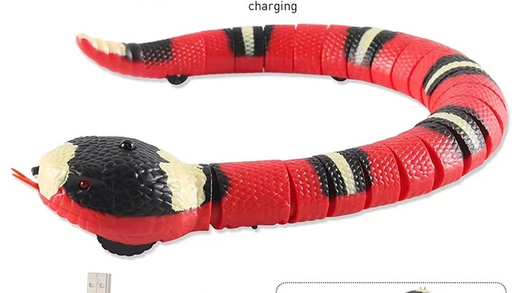 Top Picks: Best Interactive Cat Toys & Cozy Essentials to Keep Cats Happy