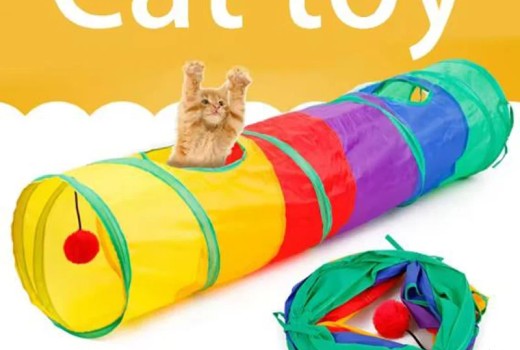 Top Picks: Best Cat Essentials for Play, Exercise, Cleanup, and Cozy Rest