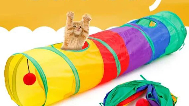 Top Picks: Best Cat Essentials for Play, Exercise, Cleanup, and Cozy Rest