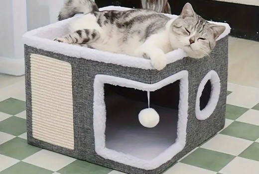 Top Picks: Best Cat Furniture, Toys, Feeding & Litter Essentials (Comparison Roundup)