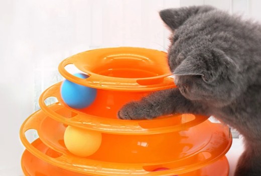 Top Picks: Interactive Cat Toys & Cozy Indoor Cat Essentials (Comparison Roundup)