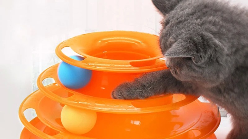 Top Picks: Interactive Cat Toys & Cozy Indoor Cat Essentials (Comparison Roundup)