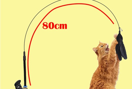 Top Picks: Interactive Cat Toys & Cozy Comfort Finds (Comparison Roundup)