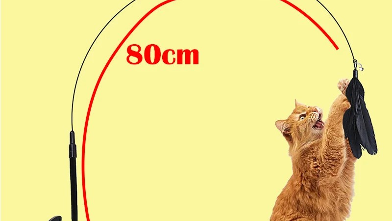 Top Picks: Interactive Cat Toys & a Smart Self-Cleaning Litter Box