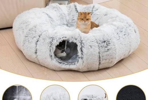 Top Picks: Best Cat Beds, Tunnels, Toys & a Smart Self-Cleaning Litter Box (Comparison Roundup)