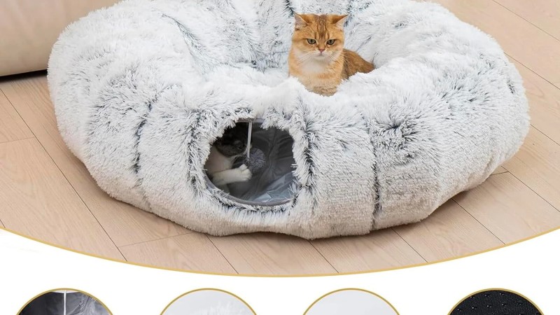 Top Picks: Cozy Cat Beds & Interactive Cat Toys (Comparison Roundup)