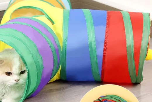 [Review] Rainbow Cat Tunnel - Collapsible Interactive Play Tube for Kittens