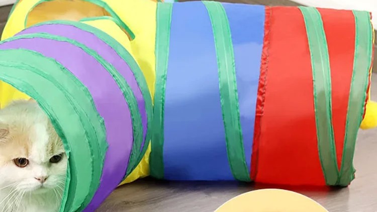 [Review] Rainbow Cat Tunnel - Collapsible Interactive Play Tube for Kittens
