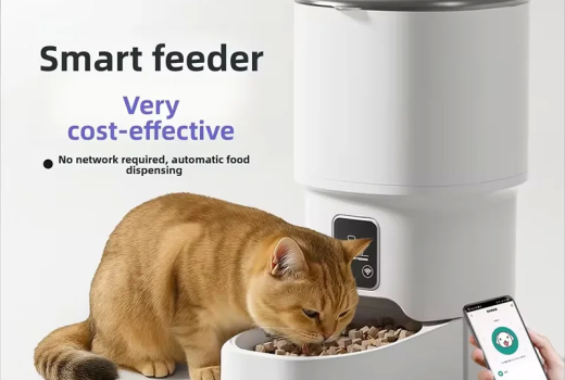 Top Picks: Smart Cat & Pet Essentials to Make Daily Care Easier (and Playtime Better)