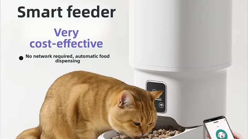 Top Picks: Smart Cat Gear & Cozy Essentials (Comparison Roundup)