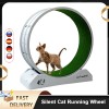 Large Silent Cat Treadmill Wheel with Detachable Carpet