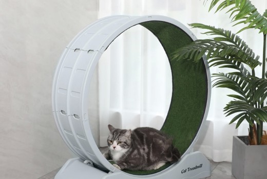 [Review] Large Silent Cat Treadmill Wheel with Detachable Carpet