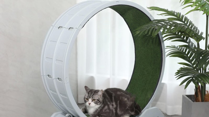 [Review] Large Silent Cat Treadmill Wheel with Detachable Carpet