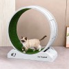 Large Silent Cat Treadmill Wheel with Detachable Carpet