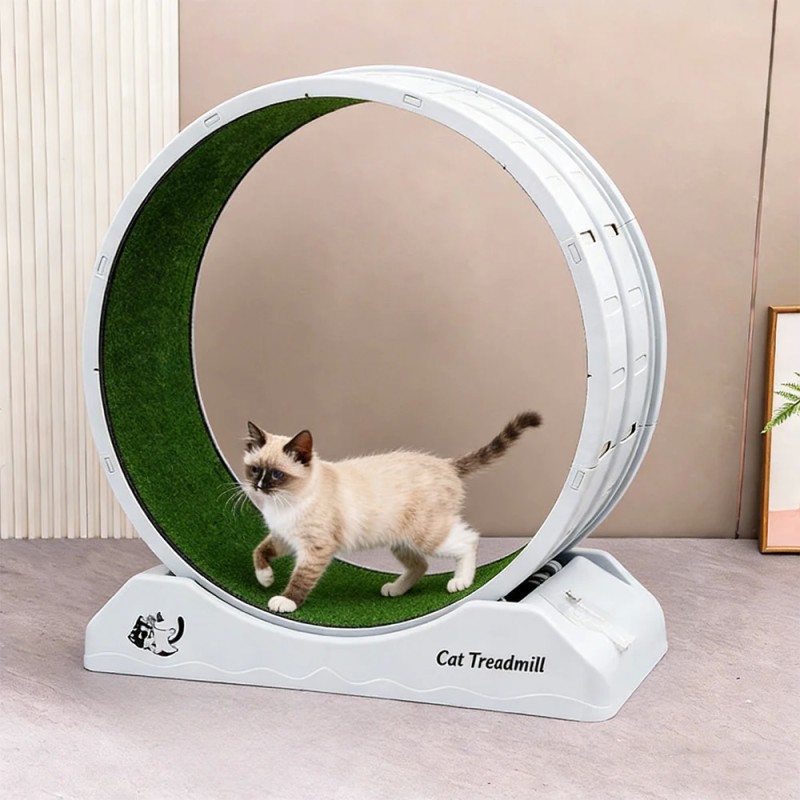 Large Silent Cat Treadmill Wheel with Detachable Carpet