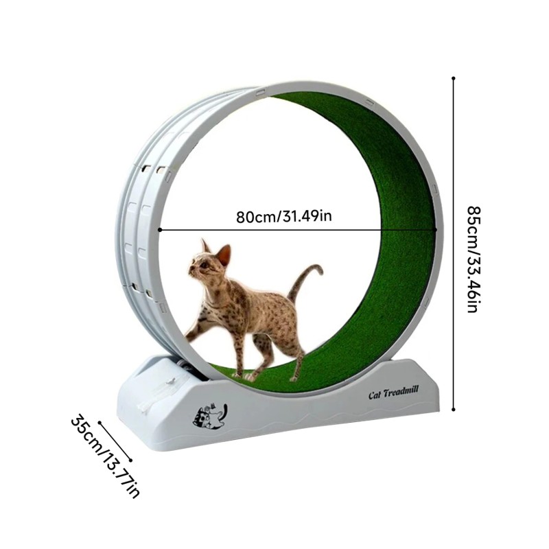 Large Silent Cat Treadmill Wheel with Detachable Carpet